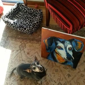 Meet your Posher, Jillian